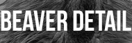 Beaver Detail